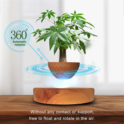 Levitating Flower Pot